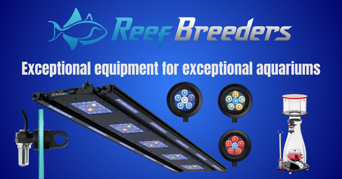 ReefBreeders ReefBreeders