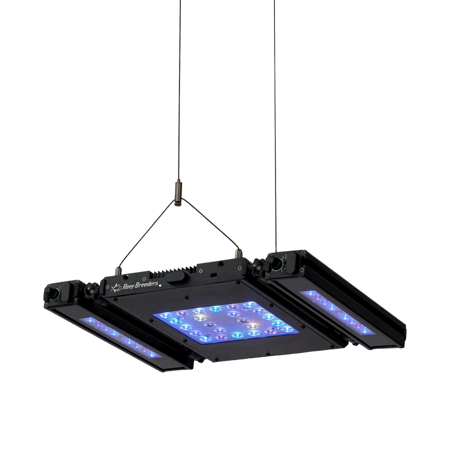 A Meridian 11 with two Edge bars, suspended on hanging wires and viewed straight on.
