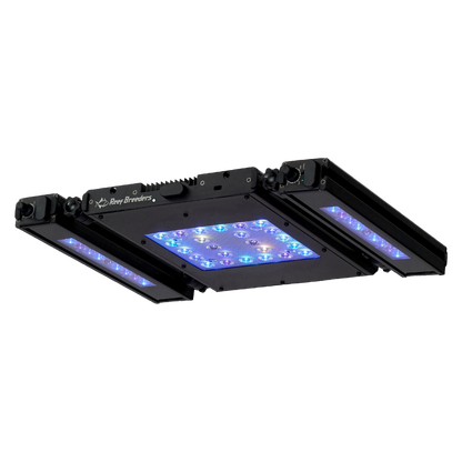 Meridian 11 Edge Bar Bundle