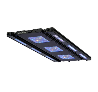 Meridian 35 Edge Bar Bundle