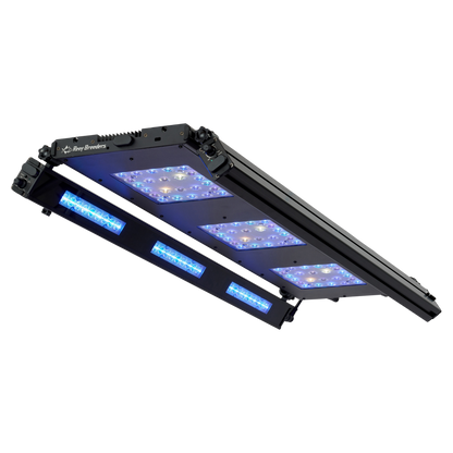 Meridian 35 Edge Bar Bundle