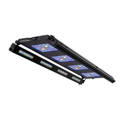 Meridian 45 Edge Bar Bundle