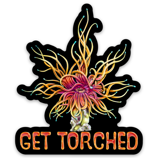 Get Torched Sticker